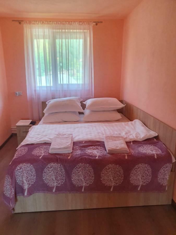 La Bustea Hotel Hercegány Kültér fotó